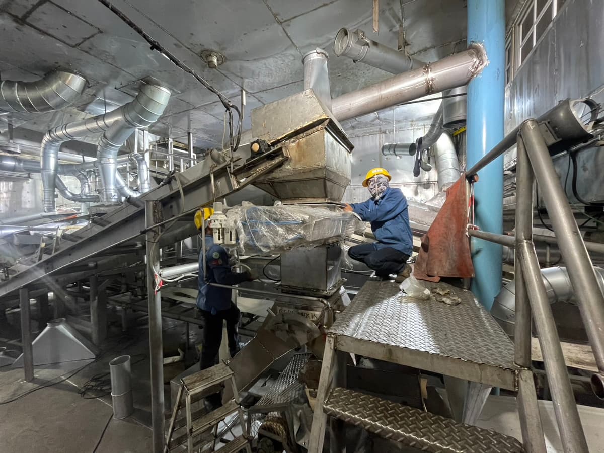 Auto Clean Magnet - 8